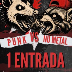 Punk vs NuMetal